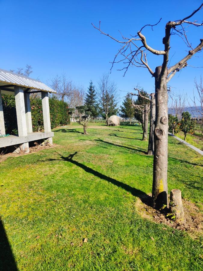 Quinta De Basto House Otel Felgueiras Dış mekan fotoğraf