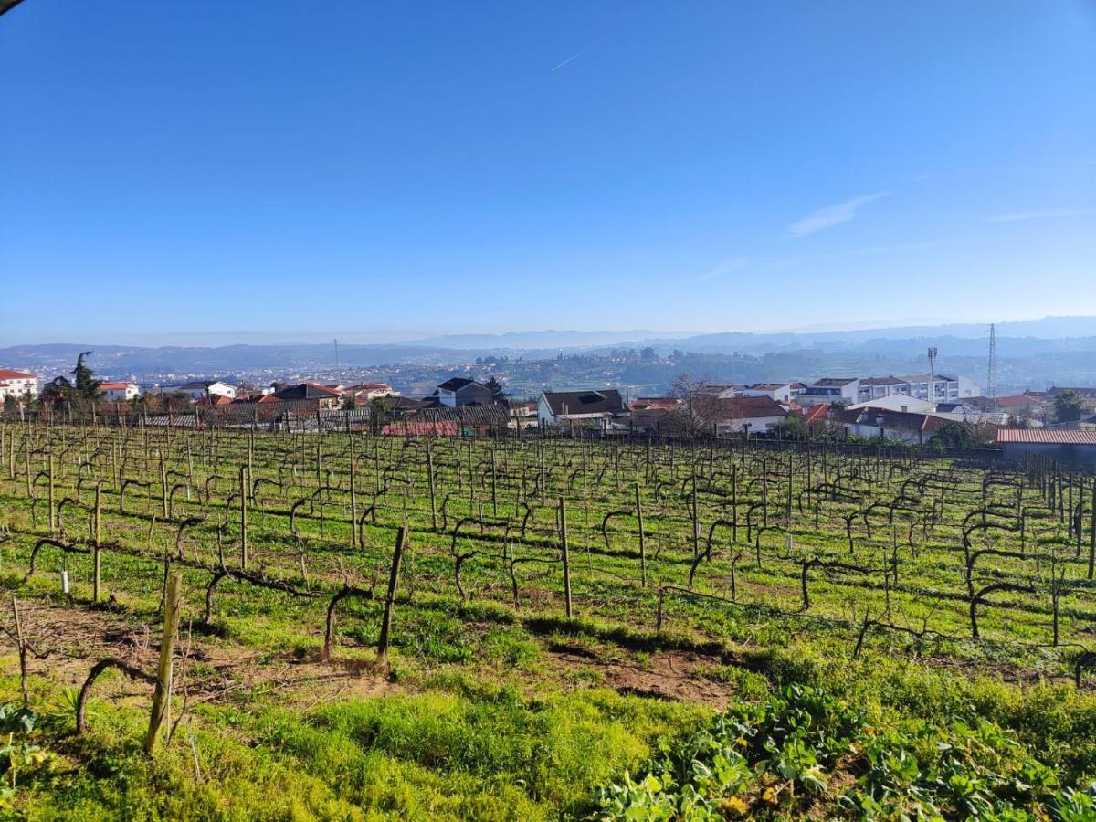 Quinta De Basto House Otel Felgueiras Dış mekan fotoğraf